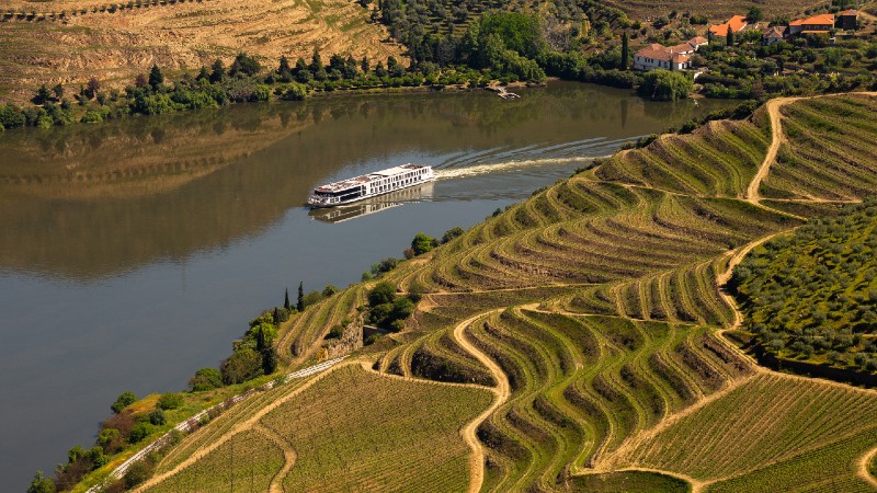 Flodkryssning p� Douro, 8 dgr 